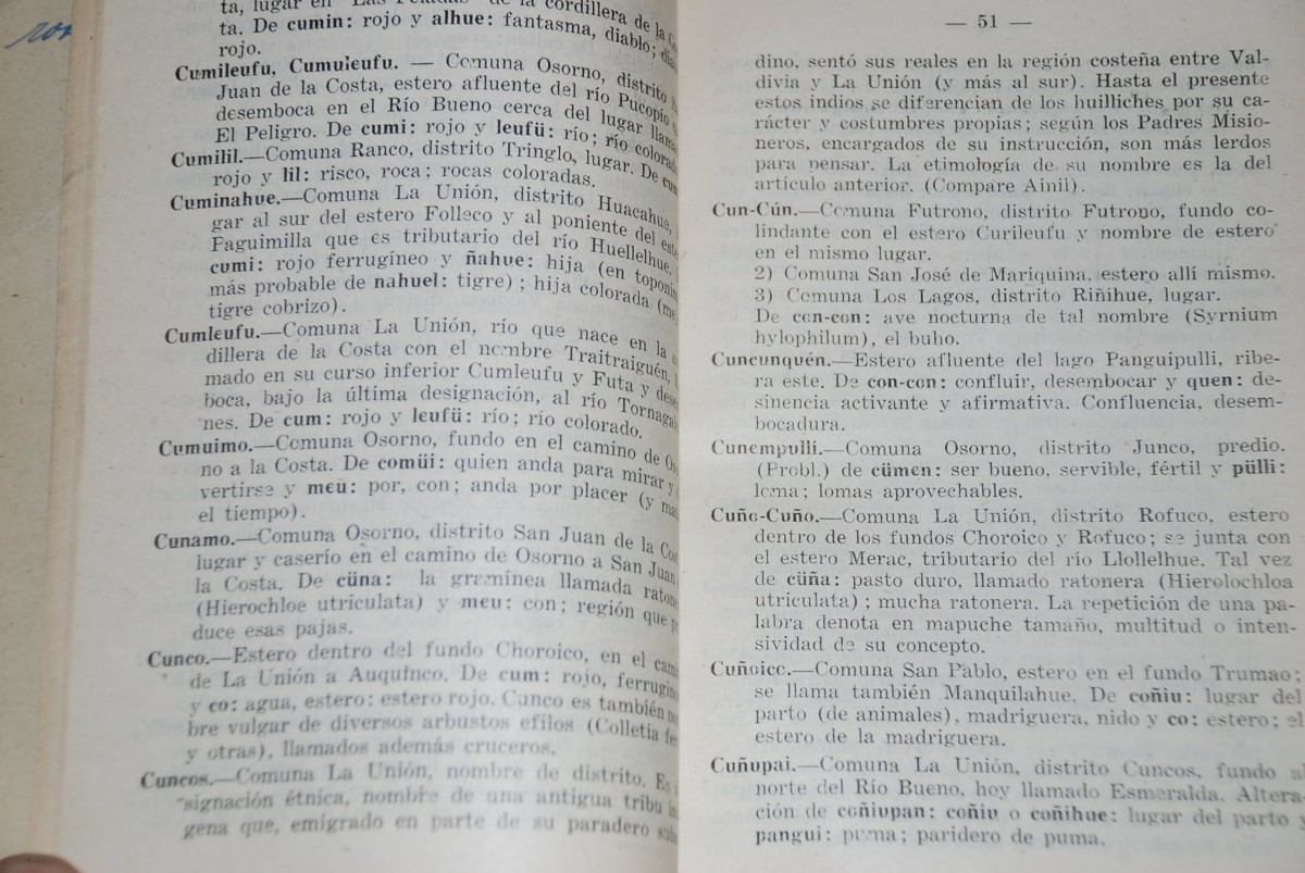 diccionario etimologico chile
